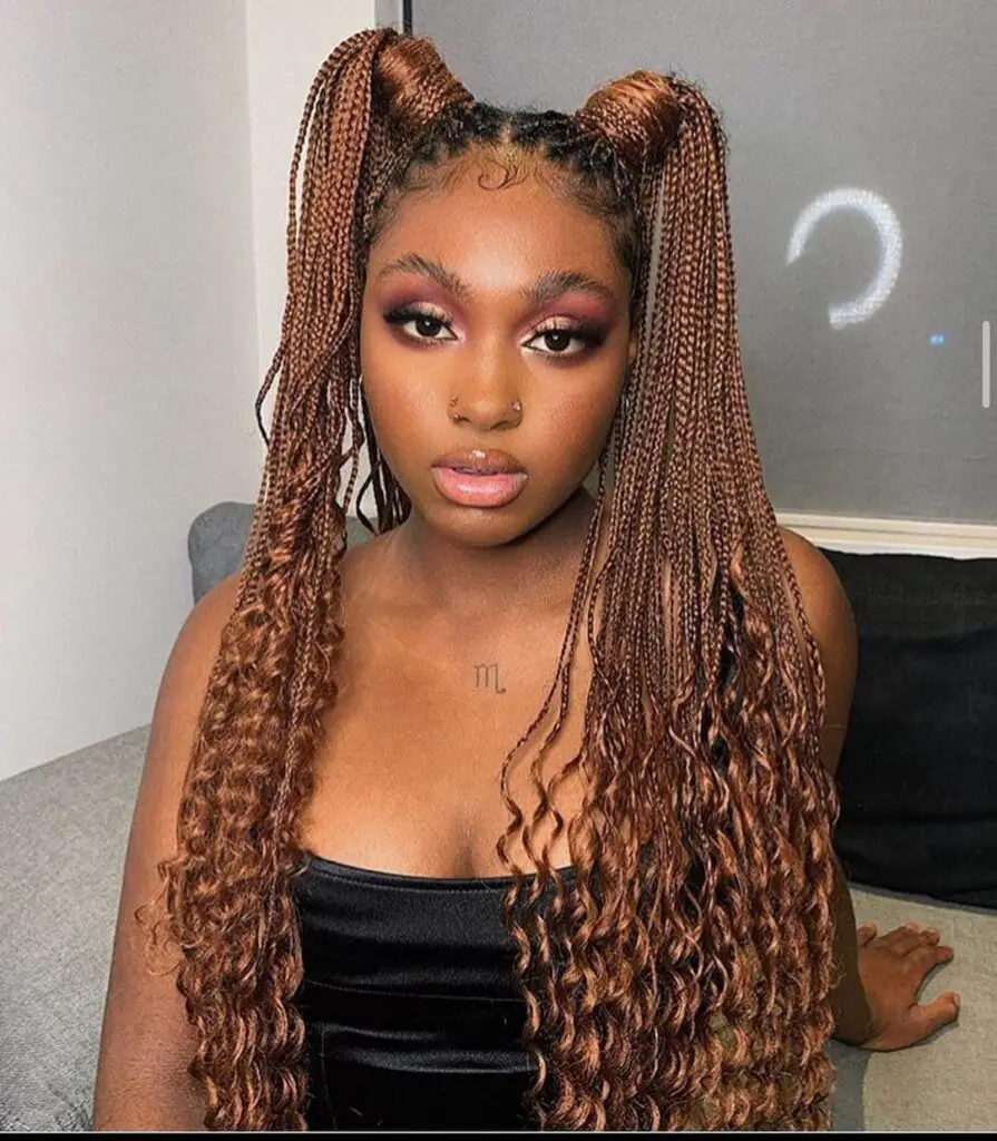 Colour 30 Braids on Dark Skin