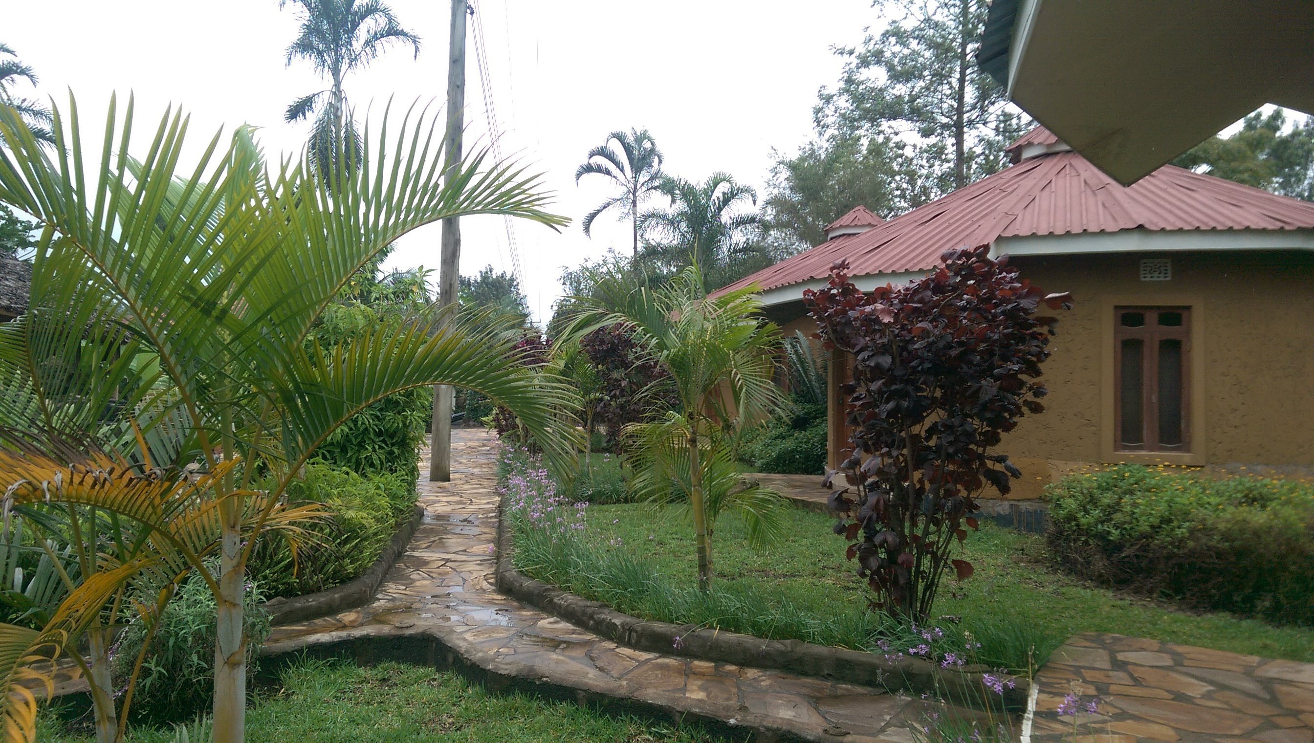 Grounds of Kilimanjaro Eco Lodge