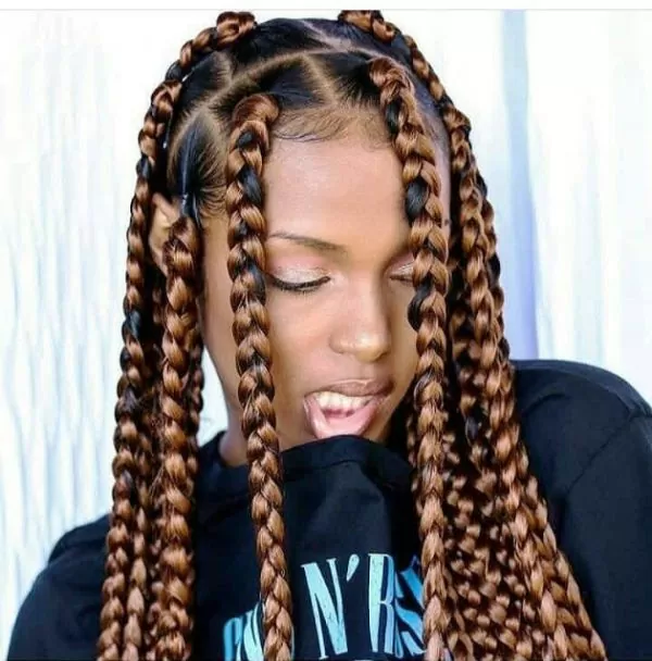 Quick Braided Hairstyles for Black Hair #1: Box Braids