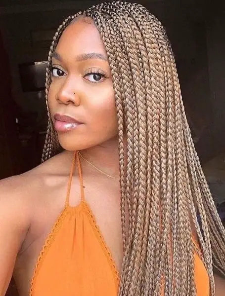 Types of Braiding Hairstyles #1: Box Braids