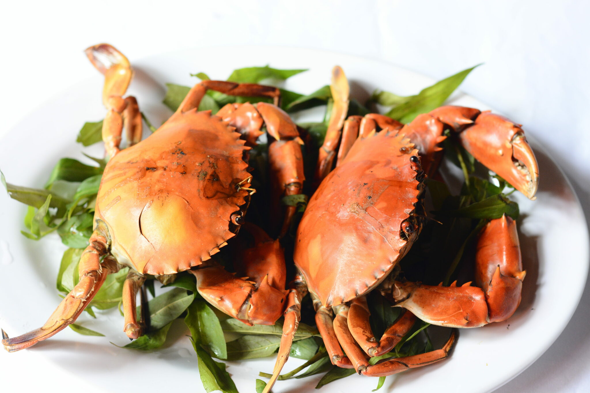 quick-dirty-tips-how-to-eat-crab-in-a-restaurant-elegantly-using