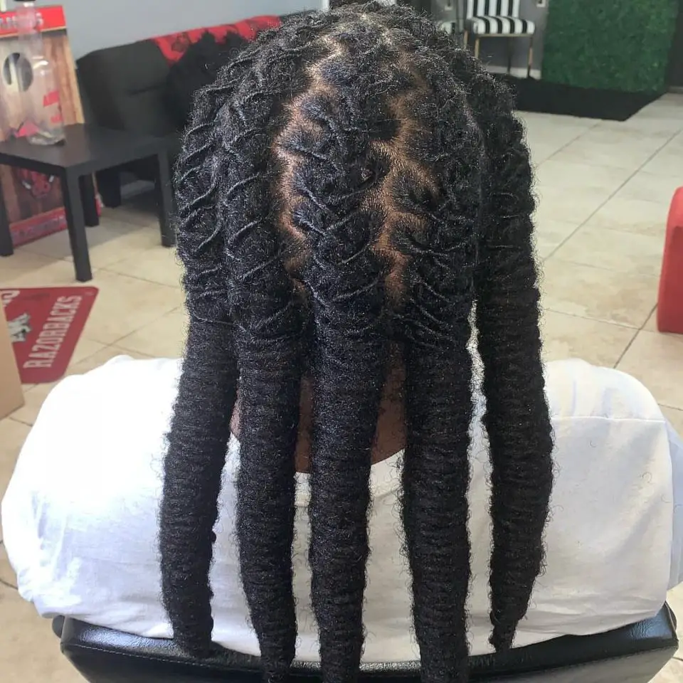 What Does 40 Locs Look Like? & More • Chick About Town