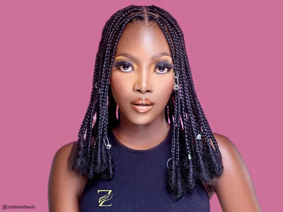 African Braids Hairstyles 2023