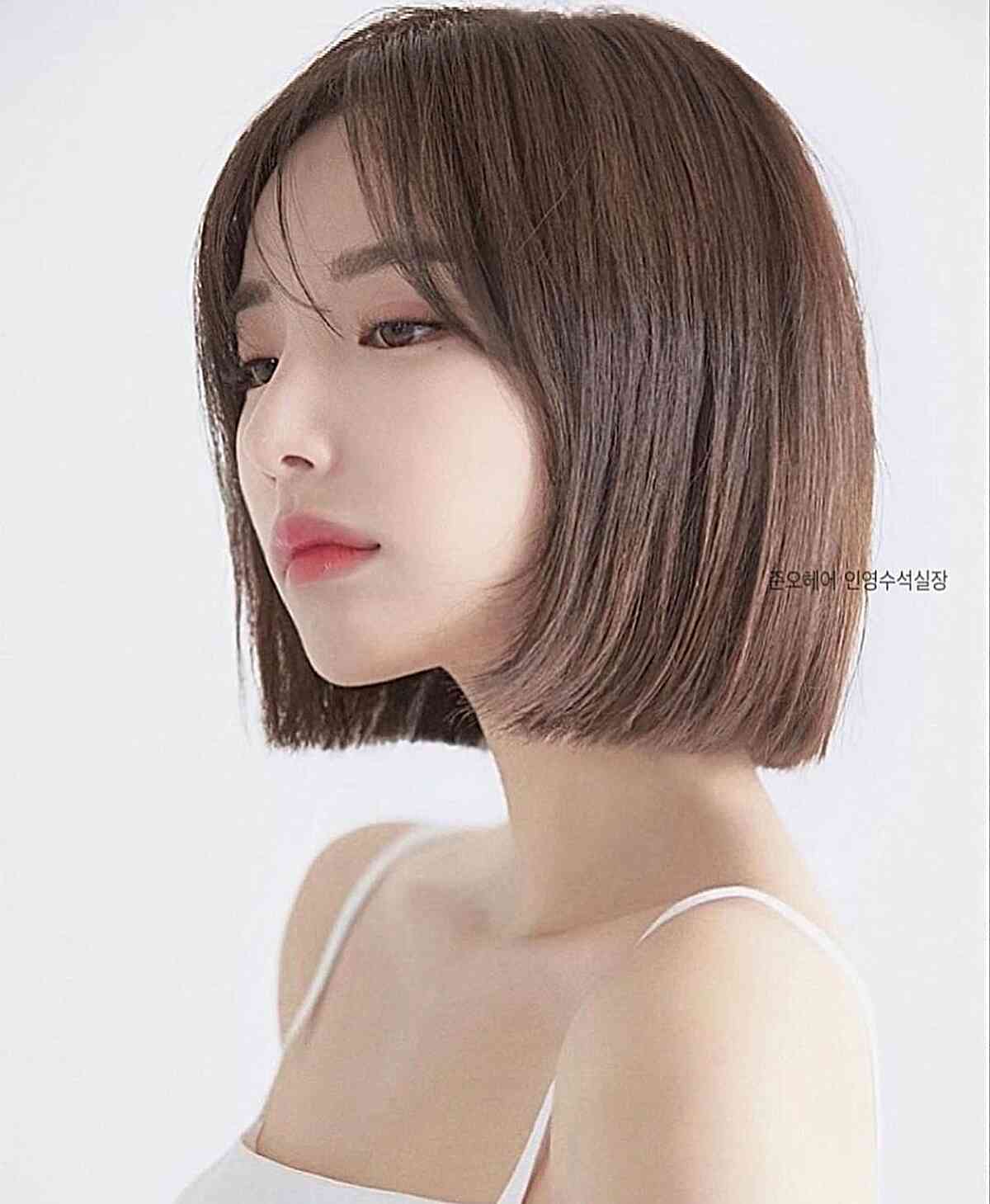 The Charm of Asian Short Hair Today in 2024 • Chick About Town