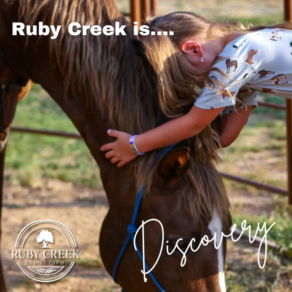 Ruby Creek Family Farm 