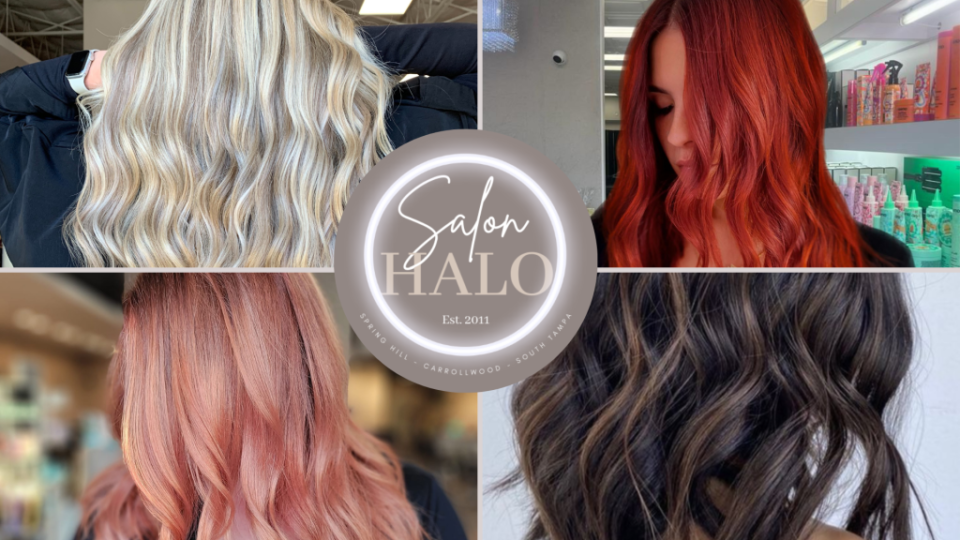 Best Hair Salons in Tampa #1. Salon Halo